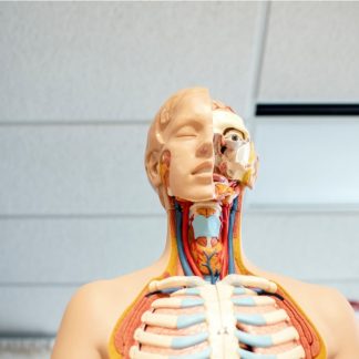 CURSO ON-LINE DE ANATOMIA E FISIOLOGIA DOS SISTEMAS ESQUELÉTICO E MUSCULAR